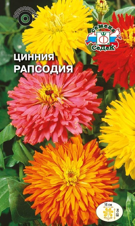 Цветок Цинния Рапсодия кактусовидная (смесь)