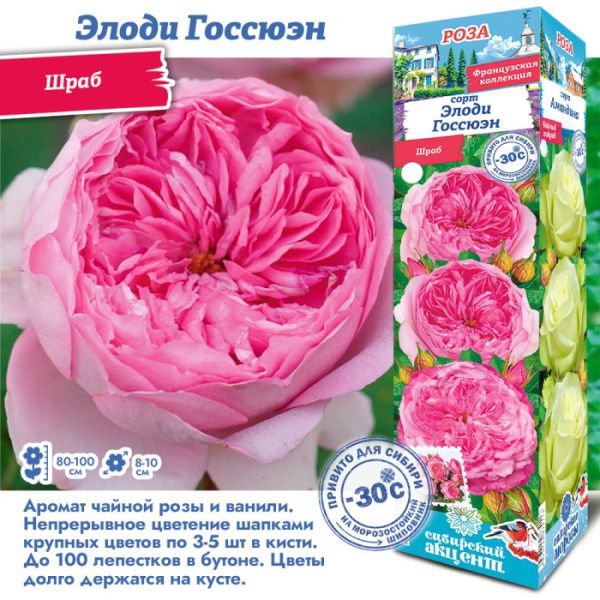 Роза Элоди Госсюэн