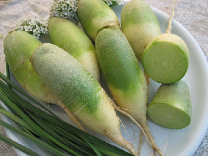 редька Харбин  100 г