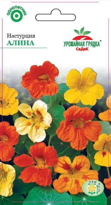 Цветок Настурция Алина (вьющаяся, смесь цветов) (УГ)