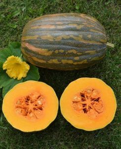 тыква Витаминная  250г