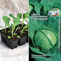Капуста б/к Вспышка, кассета 6шт.