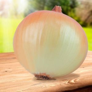 лук АК F1 100 г