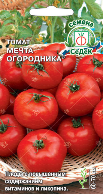 Томат Мечта Огородника