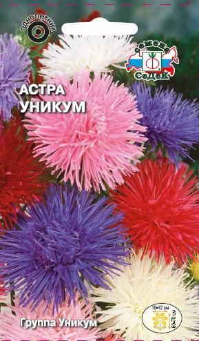 Цветок Астра Уникум (смесь)