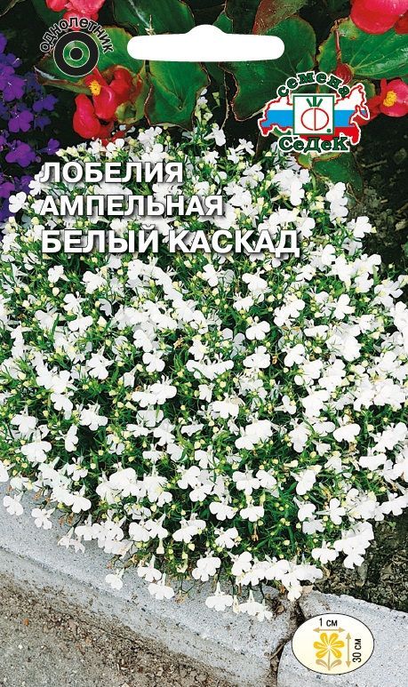 Цветок Лобелия Белый Каскад