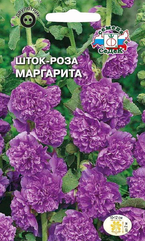 Цветок Шток-роза Маргарита