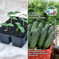 Огурец Престиж, кассета 6шт.