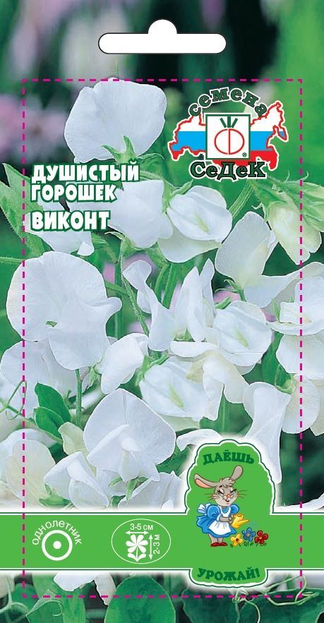 Цветок Душистый горошек Виконт (ДУ)