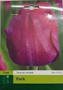 Тюльпан Парк  (триумф)