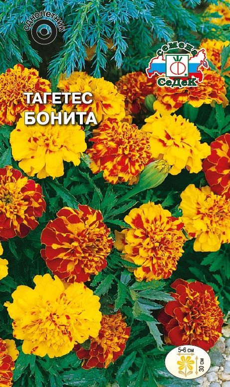 Цветок Тагетес Бонита (смесь)