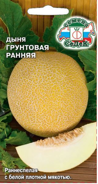 Дыня Грунтовая Ранняя