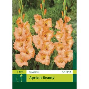 Гладиолус Эприкот Бьюти 3шт