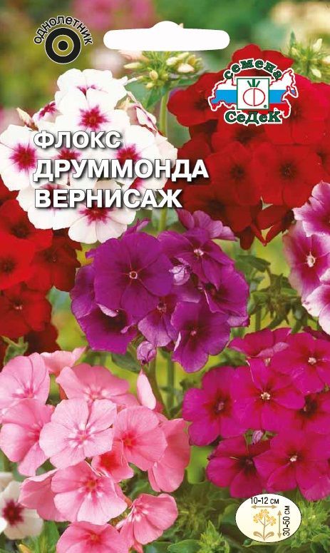 Цветок Флокс Друммонда Вернисаж (смесь)