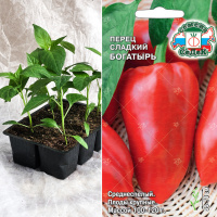 Перец сл. Богатырь, кассета 6шт.