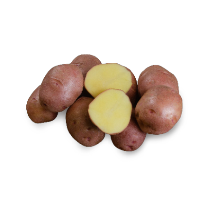 Семенной картофель Взрывной 2кг (элита)