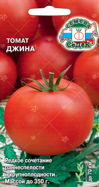 Томат Джина