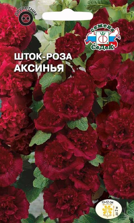 Цветок Шток-роза Аксинья