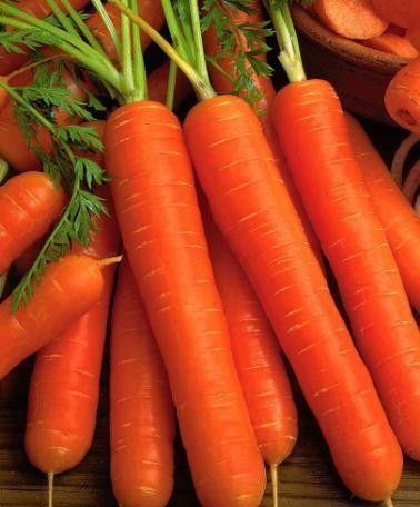 Морковь Берликум 5 (500 г)