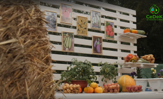 День Поля 2025 - «Огород эрудитов»