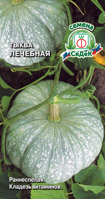 Тыква Лечебная