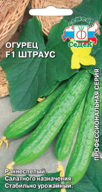 Огурец Штраус F1
