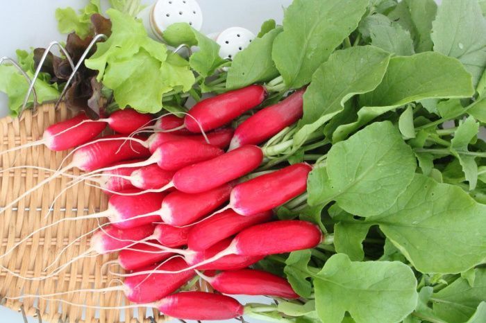 редис Ажур F1  100 г