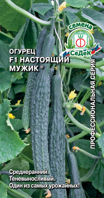 Огурец Настоящий мужик