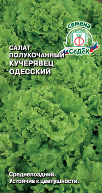 Салат Кучерявец Одесский (полукочанный)