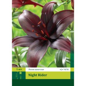 Лилия Найт Райдер азиатская