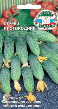 Огурец Огородник F1