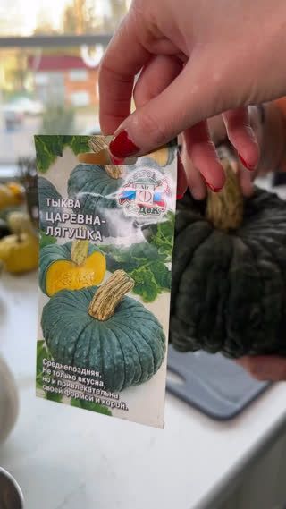 Тыква Царевна лягушка