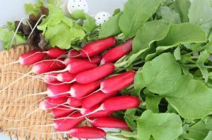 редис Ажур F1  100 г