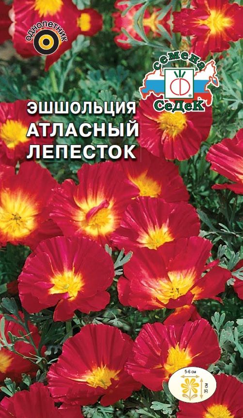 Цветок Эшшольция Атласный Лепесток