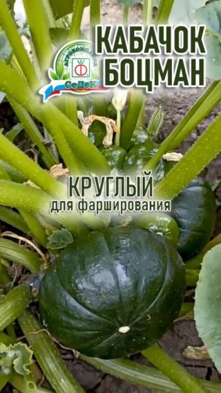 Лучший кабачок для фарширования!