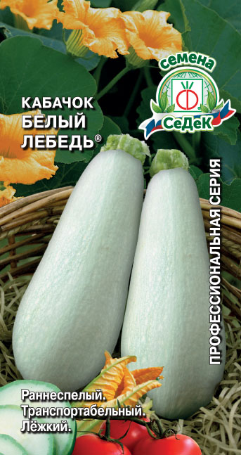 Кабачок Белый Лебедь