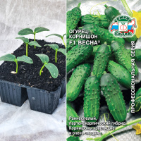 Огурец Весна, кассета 6шт.