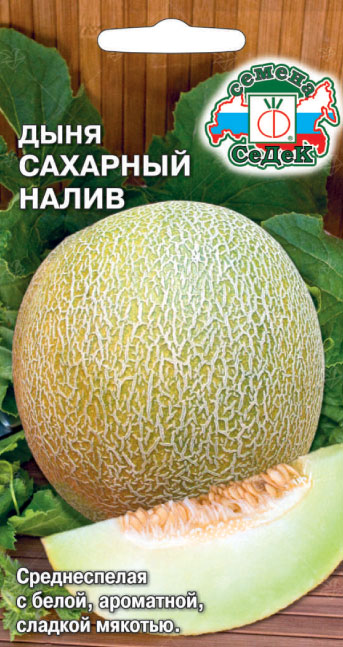 Дыня Сахарный Налив