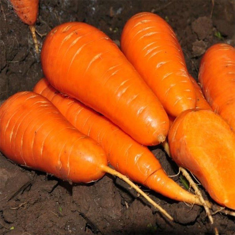 Морковь Ред кор (500 г)