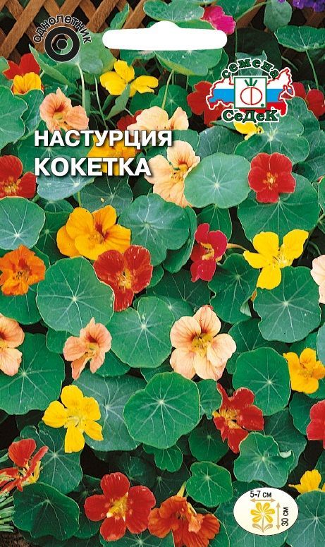 Цветок Настурция Кокетка карликовая (смесь)