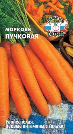 Морковь Пучковая