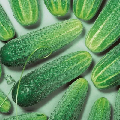 огурец Рита  50 г