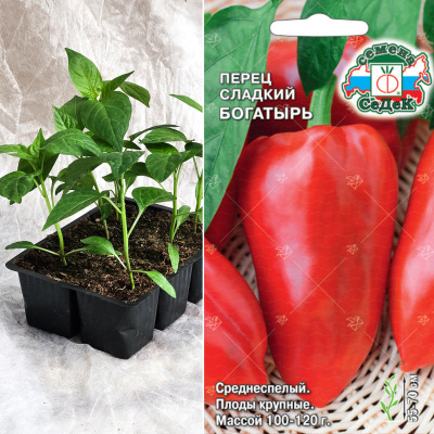 Перец сл. Богатырь, кассета 6шт.