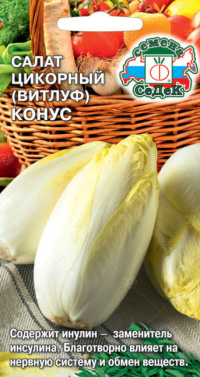 Салат Конус Витлуф (цикорный)