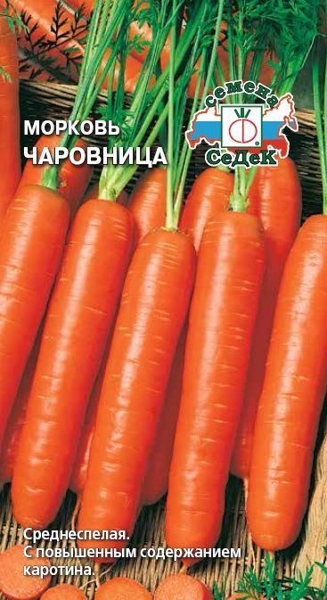 Морковь Чаровница