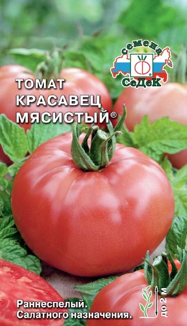 Томат Красавец Мясистый