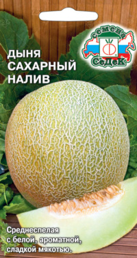 Дыня Сахарный Налив