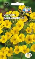 Цветок Оксалис Калейдоскоп