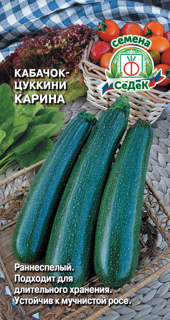 Кабачок Карина