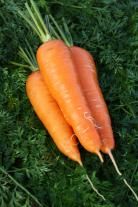 Морковь Крестьянка (500 г)